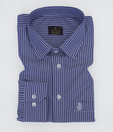 Regular Fit Blue And White Striped Premium Cotton Shirt